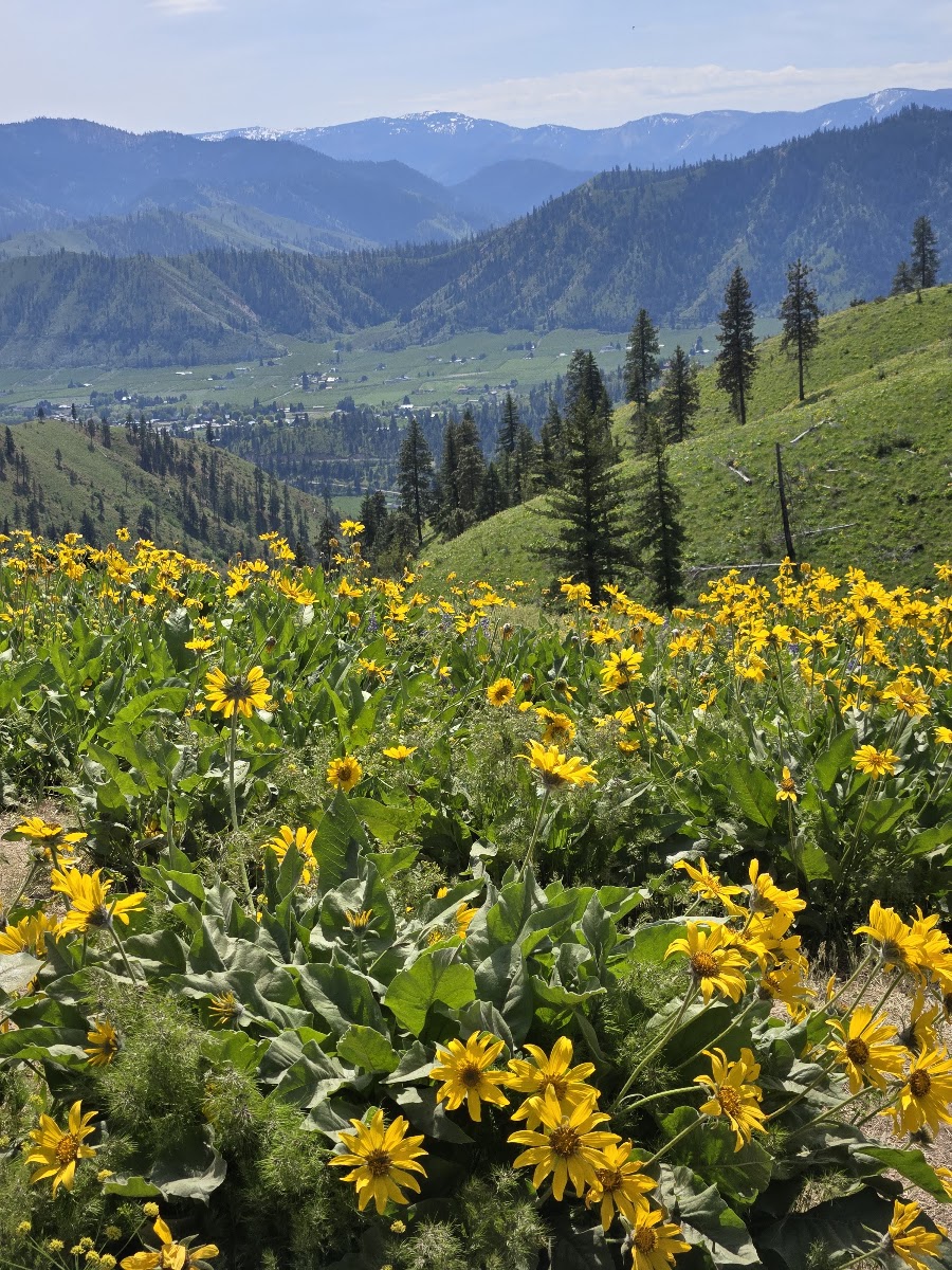 Olalla Canyon Ridge, WA